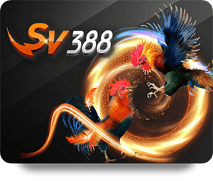 ZingPlay Bóng Đá Pro: So Sánh Các Đội Tuyển Mạnh